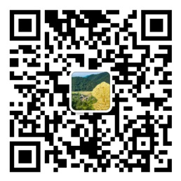 彩神welcome官网平台